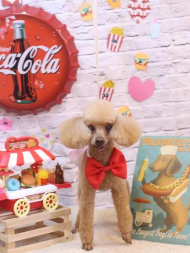 20230928リールちゃん